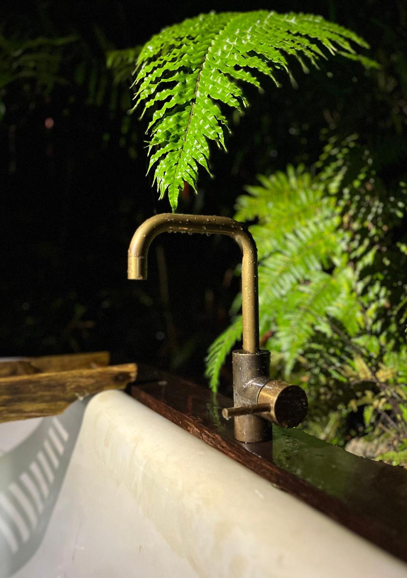 Punakaiki Forest Retreat 外观 照片